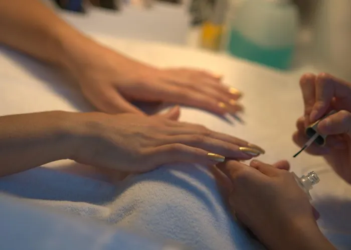 Le Palme - Premier Μιλάνο Μαριτίμα